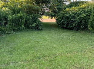 William T.'s lawn service service result