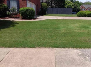 Mike M.'s lawn maintenance service result