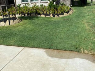 Mintesnot A.'s turf maintenance service result