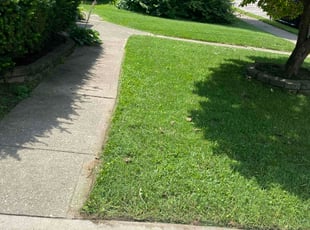 Damaris M.'s turf maintenance service result