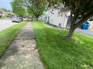 David K.'s lawn care service result