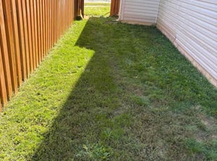 Nicola B.'s lawn service service result