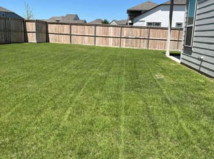 Stephanie T.'s turf maintenance service result