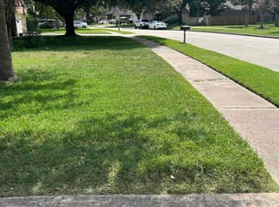 Margaret I.'s lawn care services service result