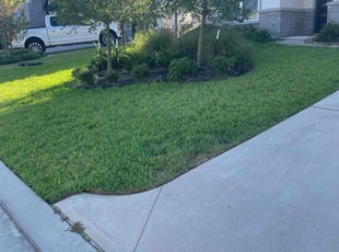 Christine R.'s lawn service service result
