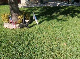 Michael D.'s lawn care service result