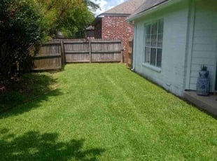 Vicki A.'s lawn care services service result