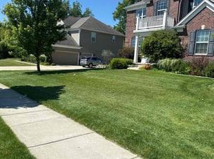 Brian H.'s lawn maintenance service result
