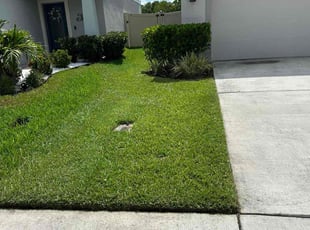 William J.'s lawn care services service result