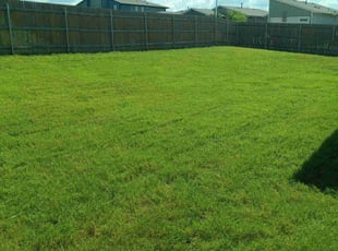 Richard B.'s Long Grass Cleanup service result