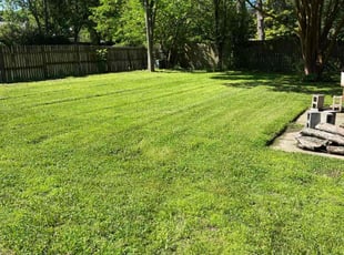 Kinzie D.'s lawn service service result