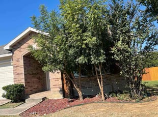 Toshiria H.'s grass cutting service result