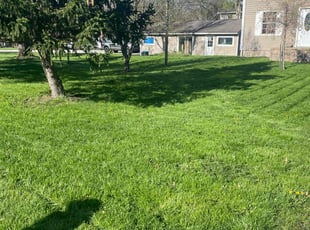 Patricia R.'s turf care service result