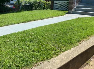 Andrea F.'s lawn service service result