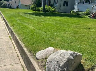 Monte C.'s turf maintenance service result