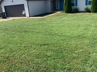 Kyle E.'s grass maintenance service result