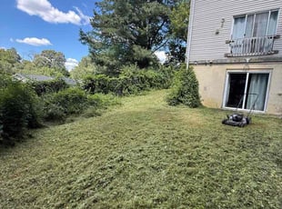 Eddie B.'s lawn service service result