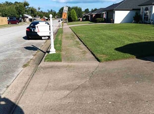 Danuel P.'s lawn service service result