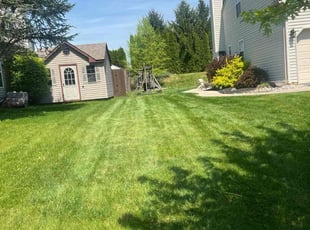 PEDRO F.'s grass cutting service result