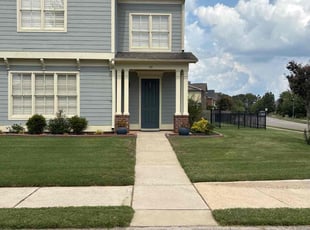 Steven P.'s grass maintenance service result