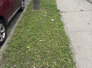 Katherine B.'s lawn service service result