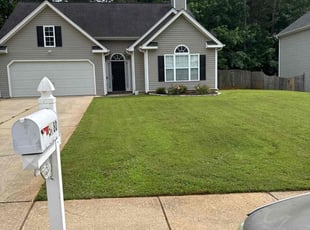 Leisa B.'s turf care service result