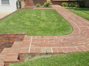 Nikki D.'s lawn service service result