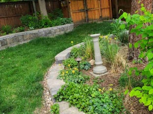 Sheri J.'s lawn care service result