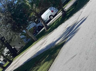 Carol N.'s lawn maintenance service result