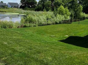 Deanna S.'s lawn service service result