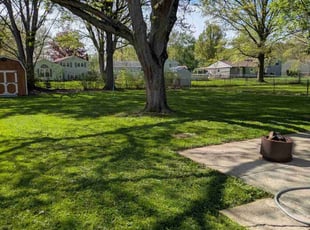 Kyle F.'s lawn service service result