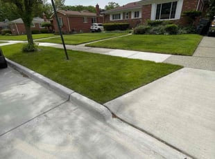 Donna K.'s lawn care services service result
