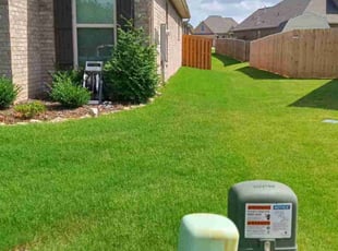 Daniel D.'s lawn maintenance service result