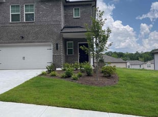 Brittany B.'s grass maintenance service result