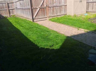 Amanda S.'s turf care service result