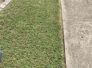 Tamara R.'s turf maintenance service result
