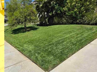 Mary D.'s landscape maintenance service result