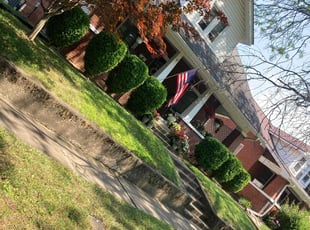 Letecia D.'s lawn care services service result