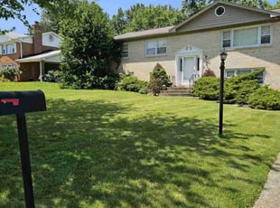 Dan M.'s lawn care services service result