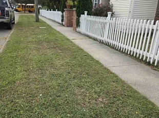 Brandon J.'s lawn care service result