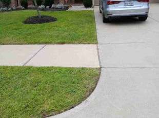 Hemlata A.'s Long Grass Cleanup service result