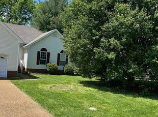 Lyn L.'s lawn maintenance service result