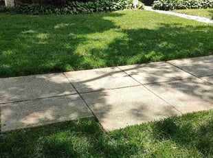Laura M.'s lawn service service result