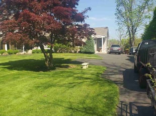 Laurie O.'s lawn maintenance service result