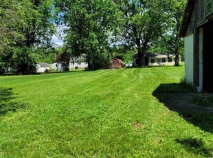 Ed B.'s lawn maintenance service result