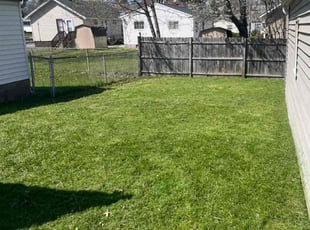 Carolyn D.'s turf care service result