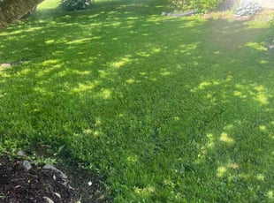 James M.'s lawn maintenance service result