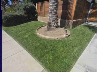 Brendan F.'s turf maintenance service result