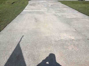 Hayley P.'s lawn maintenance service result