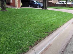 Stacy N.'s grass maintenance service result